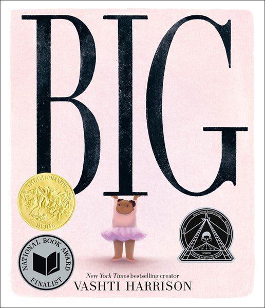 BIG by Vashti Harrison
